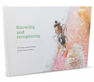 image of Knowing and Recognising