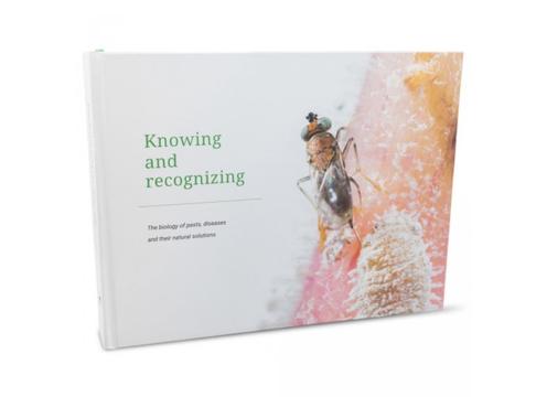 product image for Knowing and Recognising