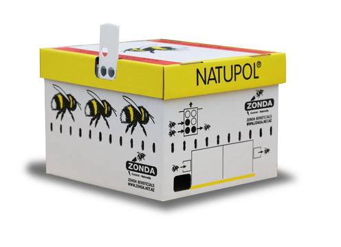 product image for Small Hive