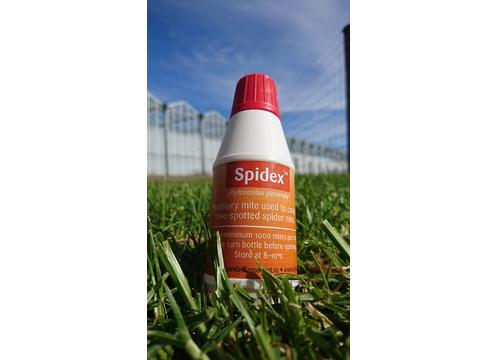 product image for Spidex 100ml